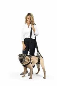 Meilleurs prix pour Harnais animal Solvit - 037099 - Support de Levage Avant et arriere pour Animal Domestique Taille M