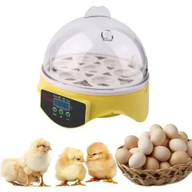 Meilleurs prix pour Couveuse - YYV - Mini Incubateur 7 Oeufs - Numérique - Température Réglable 18-45°C - 20W