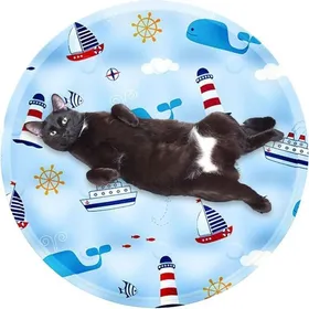 Meilleurs prix pour Tapis rafraîchissant pour Chat pour lintérieur Tapis