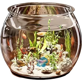 Comparer les prix de 1x Bocal Poisson Verre Transparent 6L Avec Pompe à oxygène Pour Bureau ou Salon Label