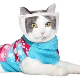 Meilleurs prix pour (M) Masque Chat Anti-Morsure Respirant Muselière Réglable pour Chat Muselière de Toilettage pour Chat Éviter Mordre et .