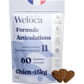 Comparer les prix de Complément Articulations chien - 60 bouchées - 11 actifs puissants (dont glucosamine, chondroïtine, moule verte, harpagophytum)