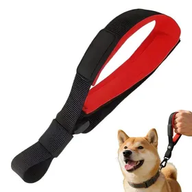 Meilleurs prix pour Sangle de Sécurité Courte pour Laisse de Chien Accessoire Anti-Dérapant pour Promenade QIEDOVIEY