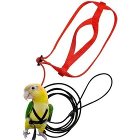 Meilleurs prix pour Harnais et Laisse pour Oiseaux - - Rouge - Réglable - 202cm - Extérieur au hasard YYV
