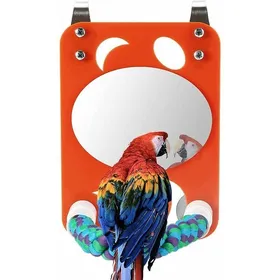 Meilleurs prix pour Jouet pour oiseau Miroir Oiseau Perroquet Perche Support Doiseau avec Miroir Miroir Oiseau avec Perche