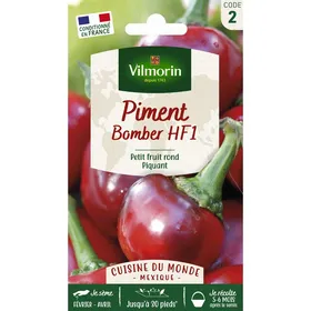 Comparer les prix de Sachet graines Piment Bomber-