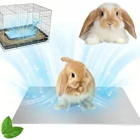 Meilleurs prix pour Plaque rafraîchissant petits rongeurs - auto-frais pliable résistante - une unité lapins hamsters chiots chatons PIQUET DATTACHE