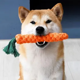 Comparer les prix de Jouet Chien Carotte 23cm  Jouet à Mâcher Résistant en Corde Coton  Jouet Chiot & Chien Grande Taille  Dents Propres