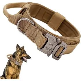 Meilleurs prix pour Collier de Dressage Tactique pour Chien avec Laisse Bungee – Nylon Renforcé Réglable Poignée de Commande Boucle Métal COLLIER