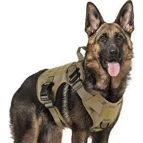 Meilleurs prix pour Harnais tactique pour chien taille M marron équipement militaire pour chiens de travail et d’entraînement sans tension avec.