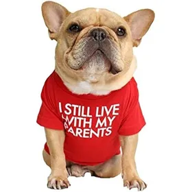 Meilleurs prix pour T-Shirt pour Chien avec la Phrase: Je vis Toujours chez Mes Parents (Rouge L)