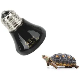 Meilleurs prix pour Ampoule Chauffante Tortue Ampoule Chauffante Céramique 25 W Lampes Infrarouge Lampe Chauffante pour Reptiles et Amphibiens