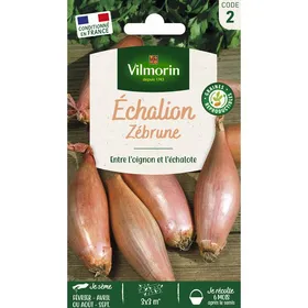 Meilleurs prix pour Sachet graines Echalion Zebrune-