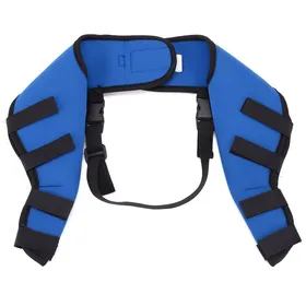 Meilleurs prix pour Attelles pour chiens, protection des pattes arrière contre blessures et arthrite, taille grande HJ27, couleur bleue