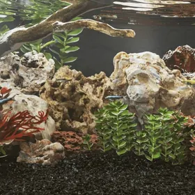 Meilleurs prix pour Pierres du dragon - vidaXL - Mélange de couleurs - 10 kg - 10-30 cm
