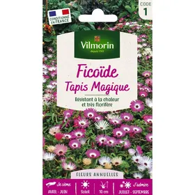 Comparer les prix de Graines - Vilmorin - Ficoïde Tapis Magique