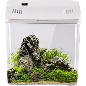 Meilleurs prix pour Aquarium pour Poisson Betta - Petits Aquariums pour Poisson Betta