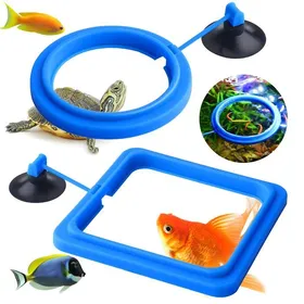 Meilleurs prix pour 2 anneaux dalimentation pour Betta avec design flottant rond pour empêcher les aliments de pénétrer dans le filtre les guppys