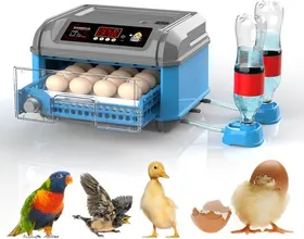 Meilleurs prix pour Couveuse Oeuf Automatique 36 œufs Pour couver des œufs de volaille avec rotation automatique des œufs et contrôle de l'humidité