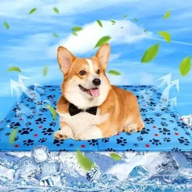 Meilleurs prix pour Tapis rafraîchissant pour chien - Auto refroidissant sans eau Imperméable et facile à nettoyer - Intérieur et extérieur - 50x40 cm
