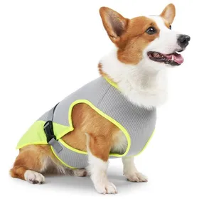 Comparer les prix de Gilet rafraîchissant pour chien gris clair - Taille L