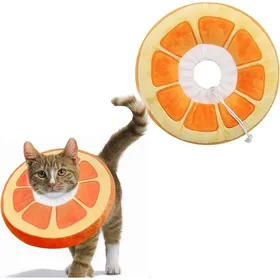 Meilleurs prix pour Collerettes pour Chats Chiens Collier de Protection Confort Ajustable Collerette de Postopératoire Récupération (Orange M)