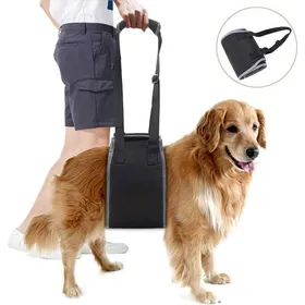Meilleurs prix pour Harnais de Soutien pour Chien Âgé Ceinture de Levage pour Chiens Handicapés Noir Aide à Monter et Descendre