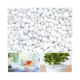 Meilleurs prix pour Gravier Galets Pierres Petits Cailloux de Marbre Blanc Naturels Cailloux Décoratifs Blancs pour Aquarium Décorations de Jin P PERLE