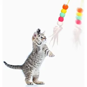 Meilleurs prix pour Jouet en plumes pour chat de porte jouets pour chats jouets interactifs à suspendre à la porte jouets attrayants(Rustle