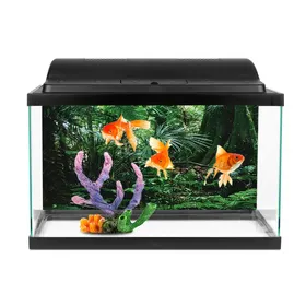 Meilleurs prix pour SALALIS Affiche d’aquarium PVC boîte de reptiles forêt tropicale fond affiche aquarium mur photo animalerie decoration 61*30 cm
