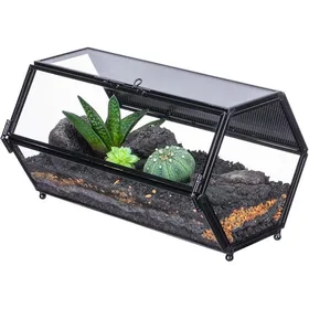 Meilleurs prix pour 20x12x108 cm Mini Hexagonale Terrarium en Verre avec Maille et Porte pour Araignées SautantesHabitat pour Petits Insecte PERCHOIR