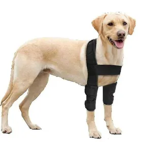 Comparer les prix de Coussinets de protection pour coudières pour chien – Support respirant pour hygroma du coude dysplasie arthrose callosités M