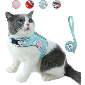Meilleurs prix pour Ensemble Laisse et Harnais pour Chat Anti-évasionGilet réfléchissant réglable pour Animal de Compagnie espirante (XSCyan)