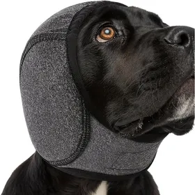 Meilleurs prix pour Protège-oreilles chien insonorisé élastique 45-60cm. Bandage protection bruit races petites/moyennes/grandes. .
