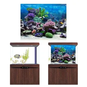 Meilleurs prix pour Affiche de Fond daquarium - SHIPENOPHY - Corail - PVC - 61x30cm - Auto-adhésif