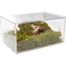 Comparer les prix de Kit de terrarium pour escargots avec accessoires escade 29 x 20 x 15 cm (L x l x H) Maison transparente Kit 1 VIVARIUM