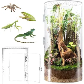 Comparer les prix de Cylindrical Terrarium 360° Transparent Vivarium - Acrylic Phasm Terrarium Breeding Box for Reptiles Spider Snails L