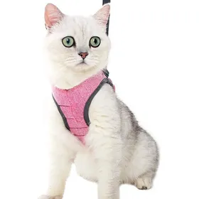 Comparer les prix de Harnais pour chat ，harnais réglable pour chaton pour chiot lapin furet L - couleur rose - taille (S)