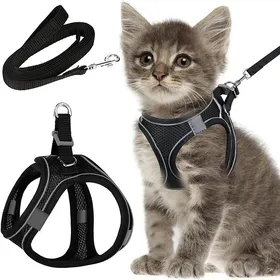 Meilleurs prix pour 1 Harnais Laisse anti-fugue XXS Chat Chien .