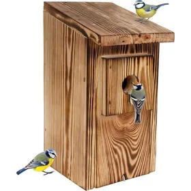 Meilleurs prix pour Nichoir À Oiseaux Creative Home Pin Flammé Extérieur Anti-Prédateurs