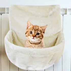 Meilleurs prix pour Hamac pour chat, lit suspendu, panier suspendu, rebord de fenêtre, cage solaire, nid chaud d'hiver, fournitures pour chats