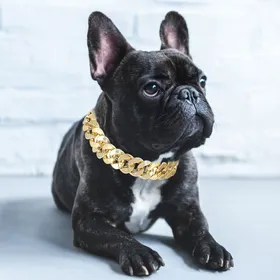 Comparer les prix de SALALIS collier de chien pour animaux de compagnie Collier à collier de chien de petit compagnon moyen animalerie ensemble