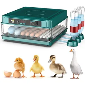 Comparer les prix de Incubateur Oeuf Automatique Professionnel avec Dispositif Automatique pour Retourner Les œufs - pour 15 œufs -c26
