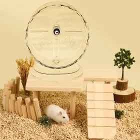 Meilleurs prix pour Roue Hamster Silencieuse 24cm avec Double Roulement Roue d’Exercice Stable Anti-Dérapante pour Rongeurs
