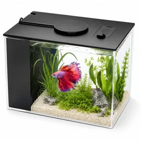 Meilleurs prix pour Petit aquarium Betta de 37 l en acrylique avec pompe silencieuse et filtreavec 10 niveaux de luminosité et 3 modes de couleur