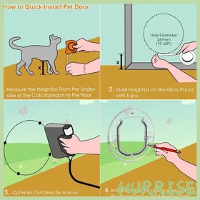 Meilleurs prix pour Porte à chatière chatières à verrouillage à 4 voies petite chatière pour chats petits chiens chiots et chatière. Chatière pour