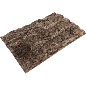 Meilleurs prix pour Panneaux De Fond en Écorce De Liège pour Terrarium Décor Mural De Toile De Fond Darbre De Réservoir De Reptiles Décoration