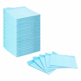 Comparer les prix de Moderne Tapis éducateur pour animaux - Coussin dentraînement pour animaux 50 pcs 45x33cm @FR3554946