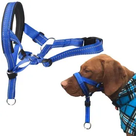 Comparer les prix de Licol pour chien avec tissu rembourré, collier pour chien, L
