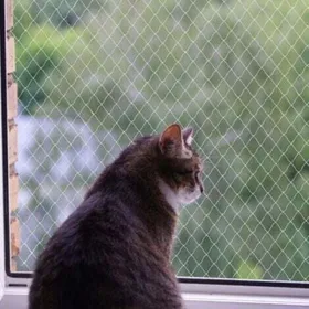 Comparer les prix de Filet pour chat filet en nylon sans perçage transparent résistant aux coupures et aux morsures protège terrasse fenêtres et